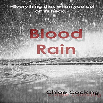Couverture_Blood Rain