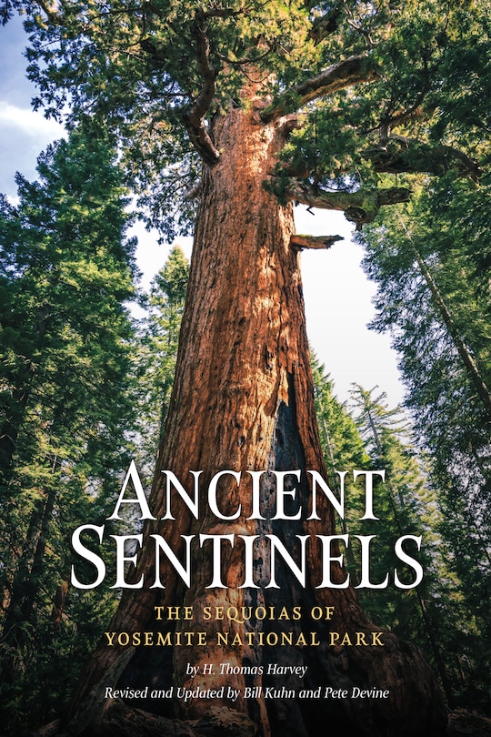 Couverture_Ancient Sentinels: The Sequoias Of Yosemite National Park