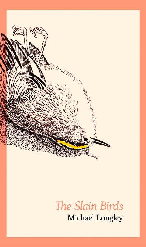 Front cover_The Slain Birds