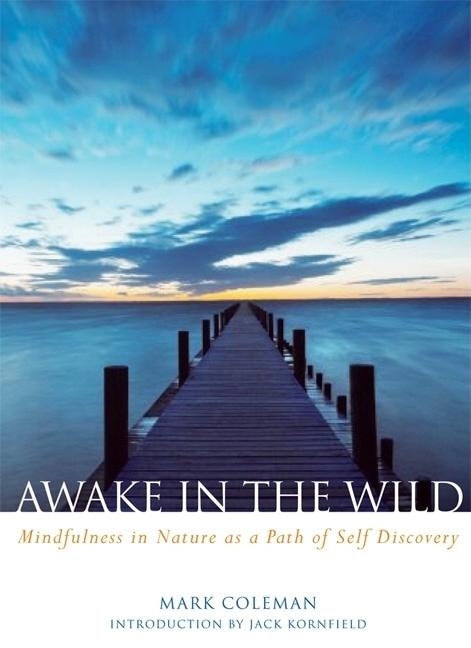 Couverture_Awake in the Wild