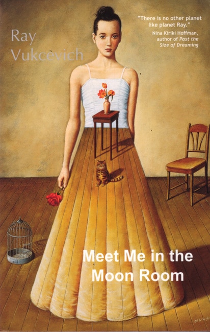 Couverture_Meet Me in the Moon Room