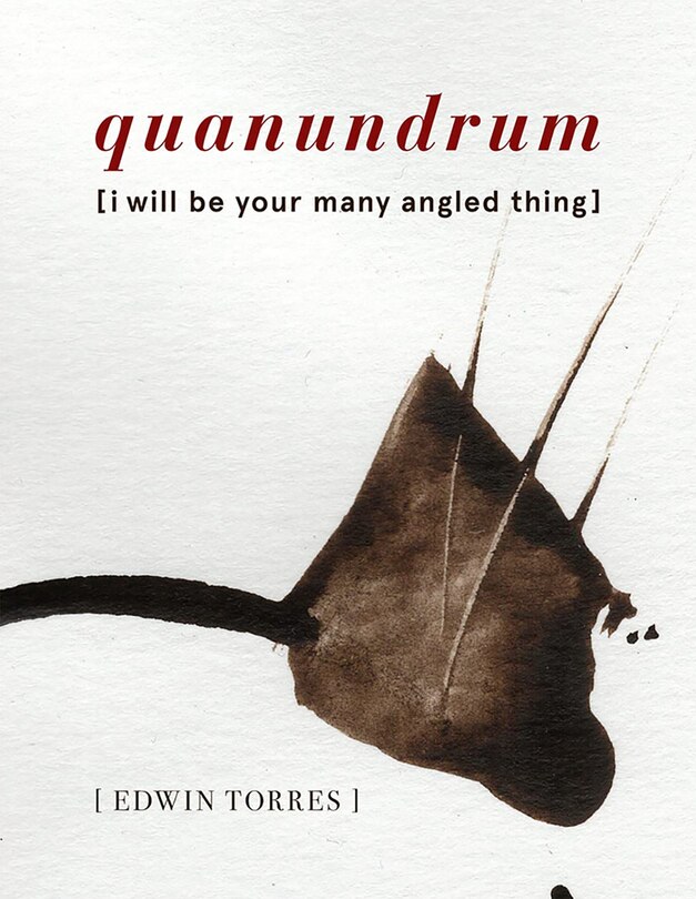Front cover_quanundrum [i will be your many angled thing]