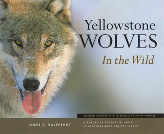 Couverture_Yellowstone Wolves In The Wild