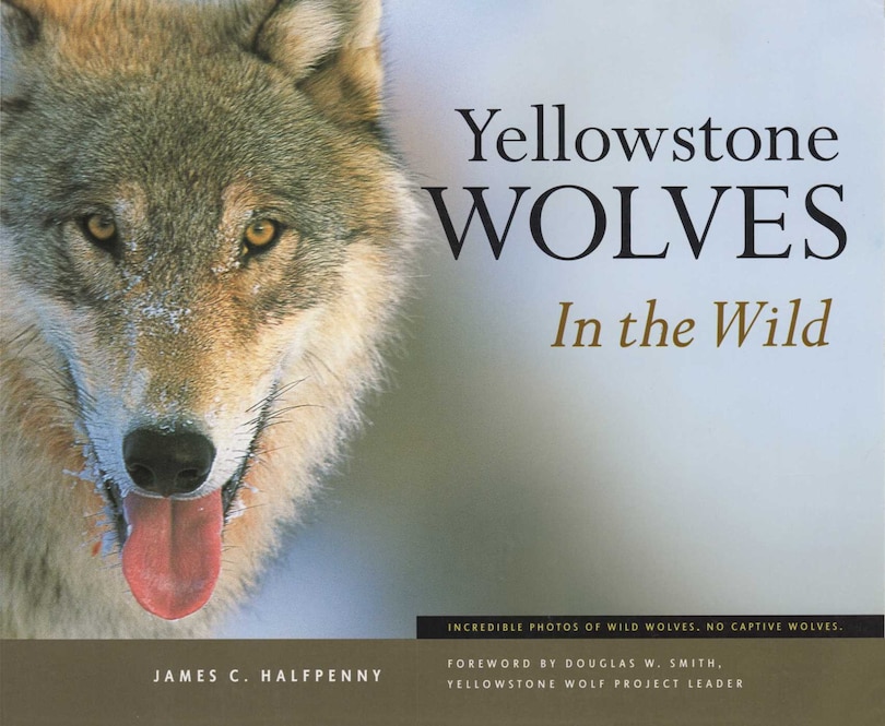 Couverture_Yellowstone Wolves In The Wild