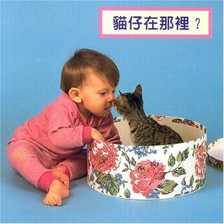 Couverture_Where's the Kitten?