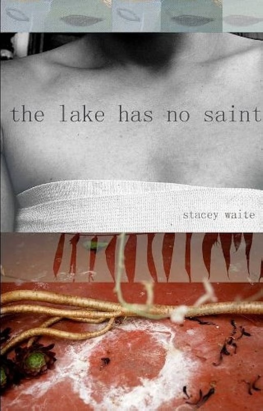 Front cover_The Lake Has No Saint