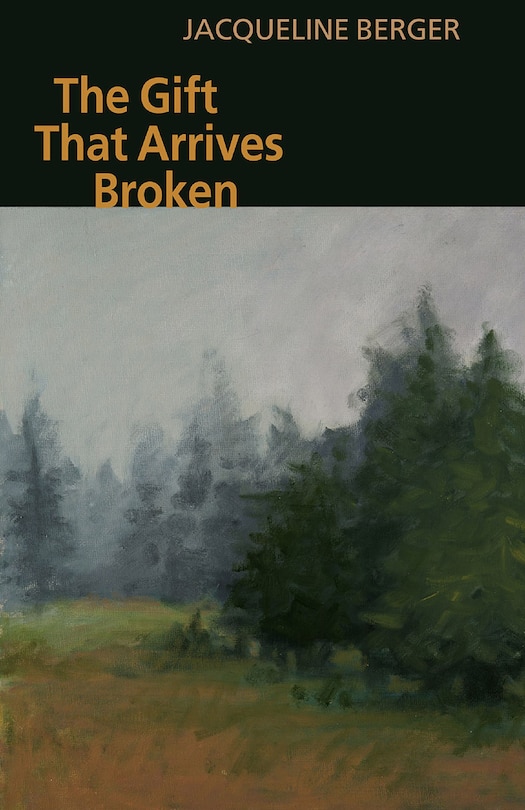Couverture_The Gift That Arrives Broken
