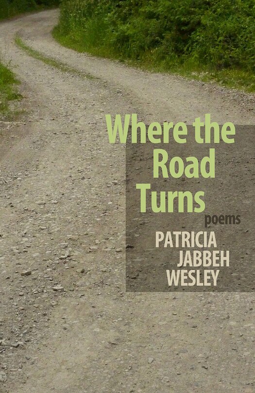Front cover_Where the Road Turns