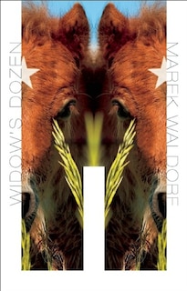 Front cover_Widow's Dozen