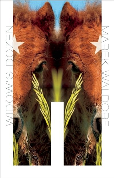 Front cover_Widow's Dozen