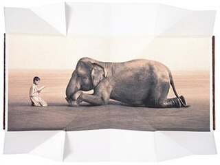 Couverture_Boy reading to elephant (fold out book)