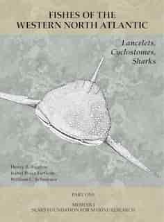Lancelets, Cyclostomes, Sharks: Part 1 by Henry B. Bigelow