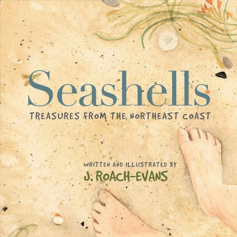 Couverture_Seashells