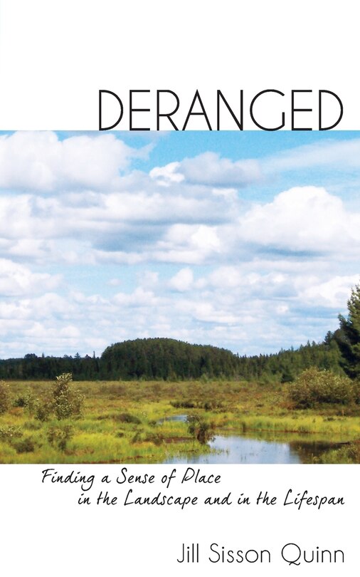 Couverture_Deranged