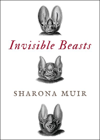 Front cover_Invisible Beasts
