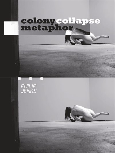 Couverture_Colony Collapse Metaphor