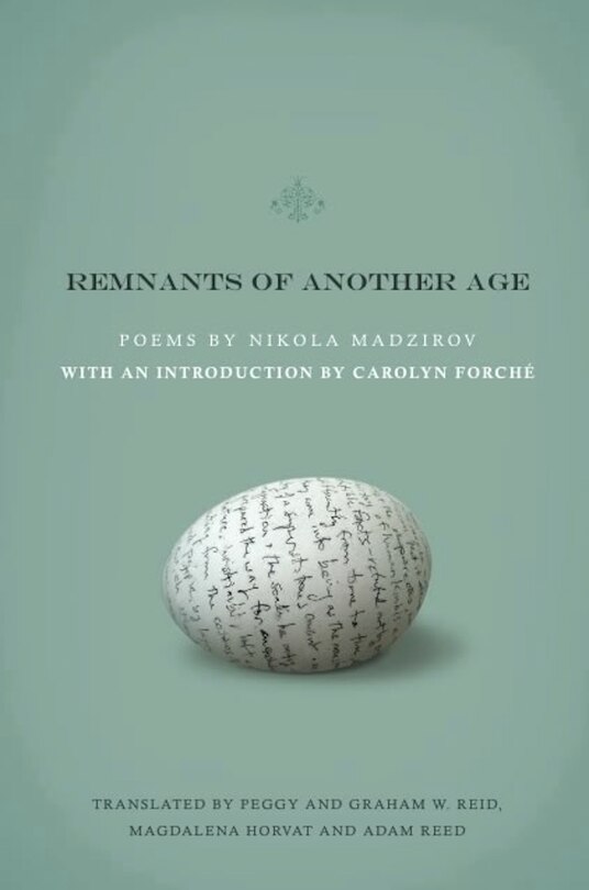Front cover_Remnants of Another Age