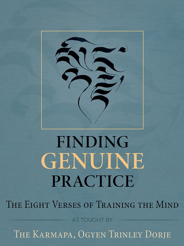 Front cover_Finding Genuine Practice