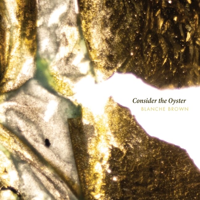 Front cover_Consider the Oyster