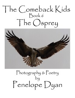 Front cover_The Comeback Kids, Book 6, The Osprey