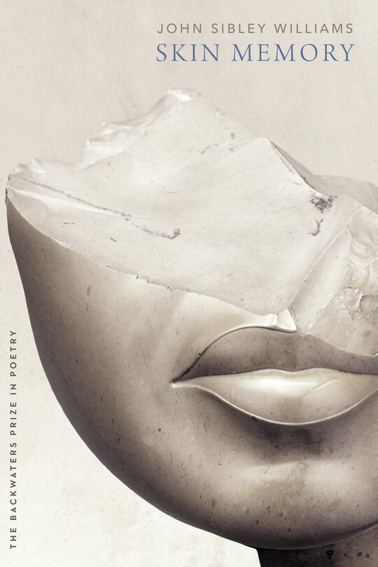 Front cover_Skin Memory