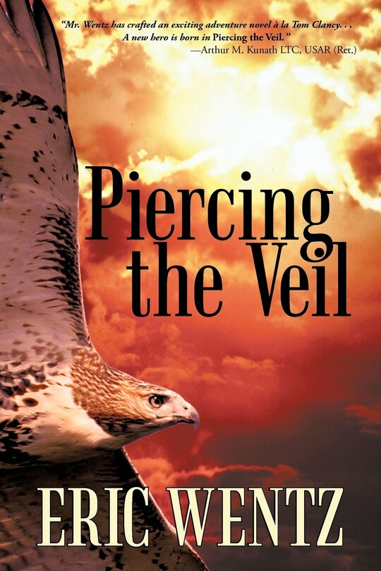 Couverture_Piercing the Veil