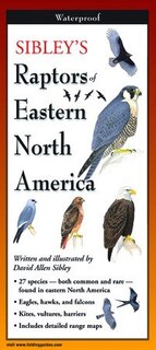 Sibley's Raptors Of Eastern North America - Folding Guide