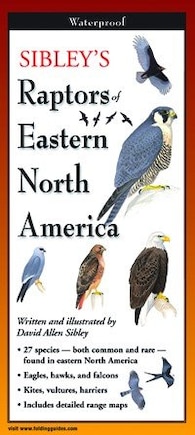 Sibley's Raptors Of Eastern North America - Folding Guide