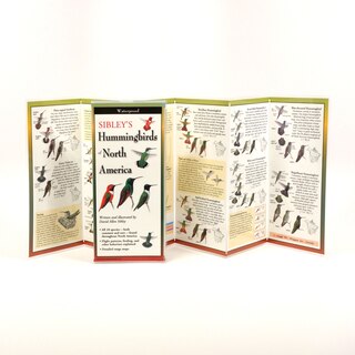 Front cover_Sibley's Hummingbirds of North America -