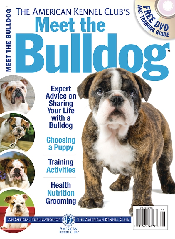 Couverture_Meet the Bulldog