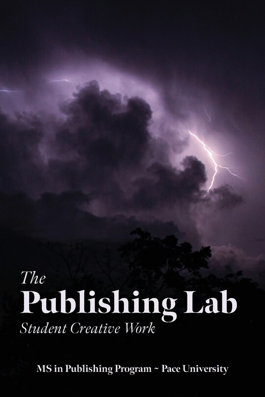 Couverture_The Publishing Lab