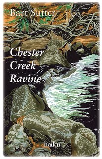 Couverture_Chester Creek Ravine