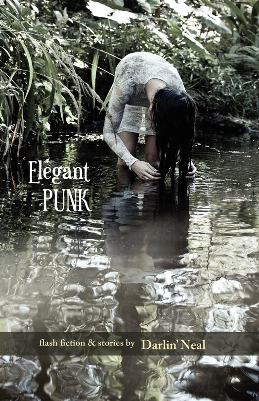 Front cover_Elegant Punk