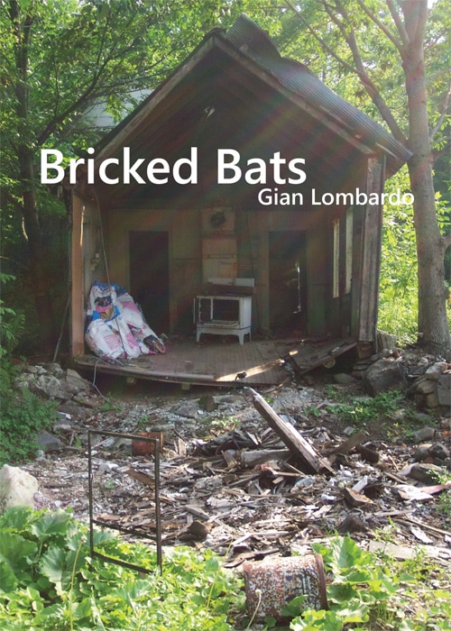 Couverture_Bricked Bats
