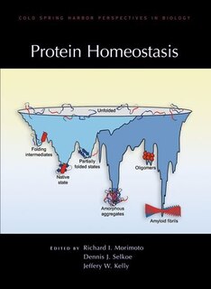 Couverture_Protein Homeostasis