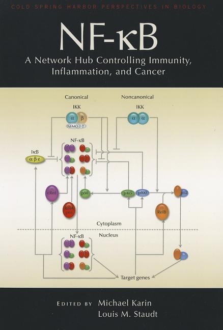 Couverture_Nf-kb , A Network Hub Controlling Immunity, Inflammation, And Cancer