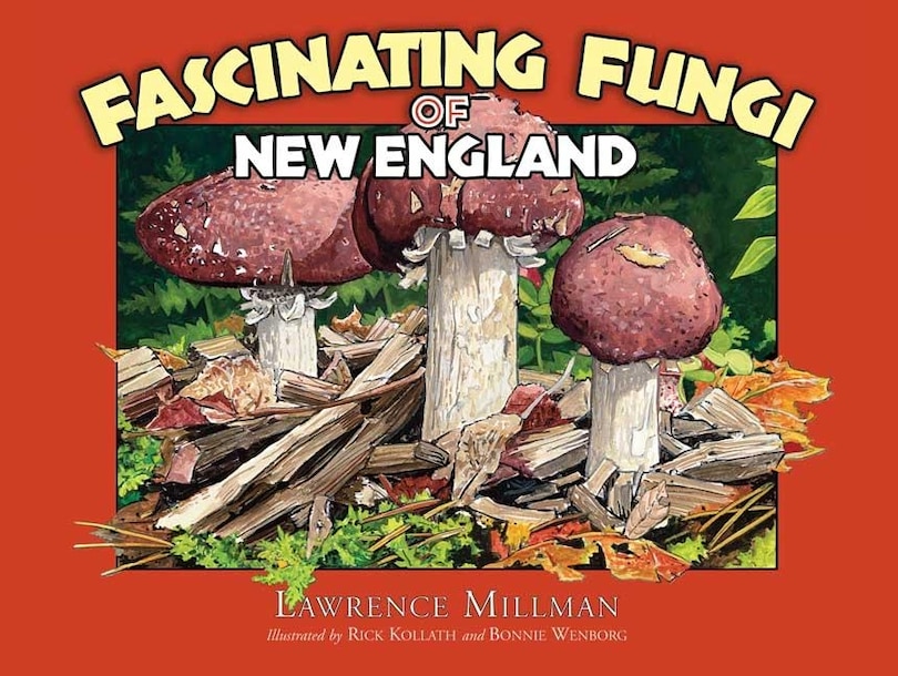 Couverture_Fascinating Fungi Of New England