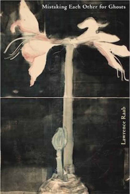 Couverture_Mistaking Each Other for Ghosts