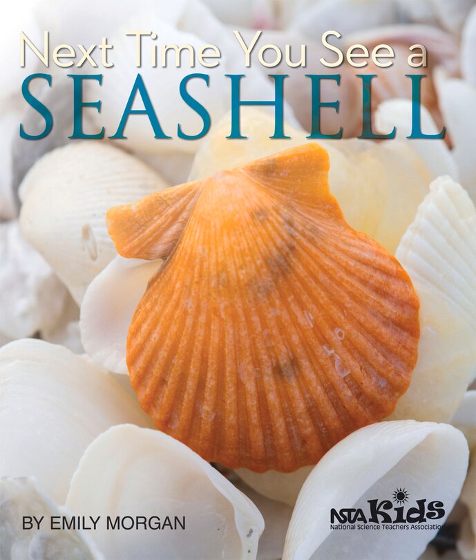 Couverture_Next Time You See A Seashell