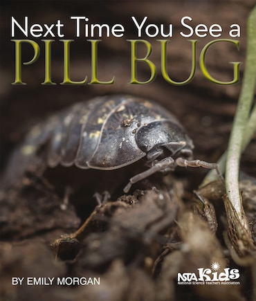 Next Time You See A Pill Bug