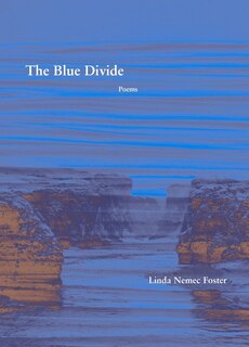 Front cover_The Blue Divide