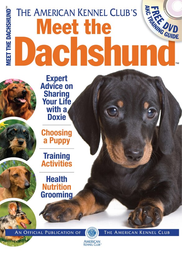 Front cover_Meet the Dachshund