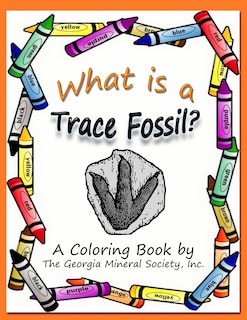 Couverture_What Is a Trace Fossil?