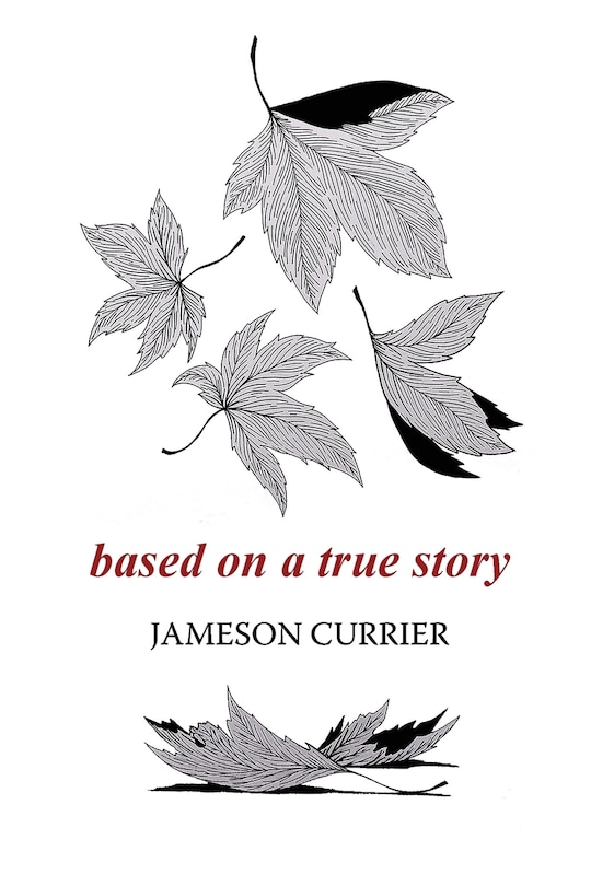 Couverture_Based on a True Story