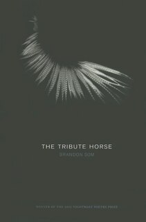 Couverture_The Tribute Horse