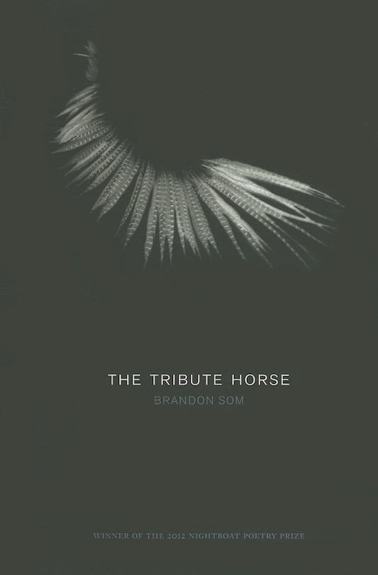 Couverture_The Tribute Horse