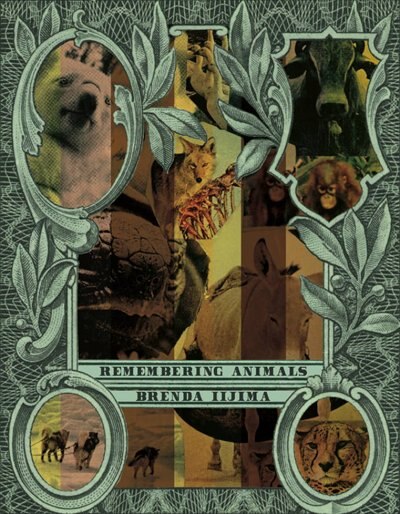 Front cover_Remembering Animals
