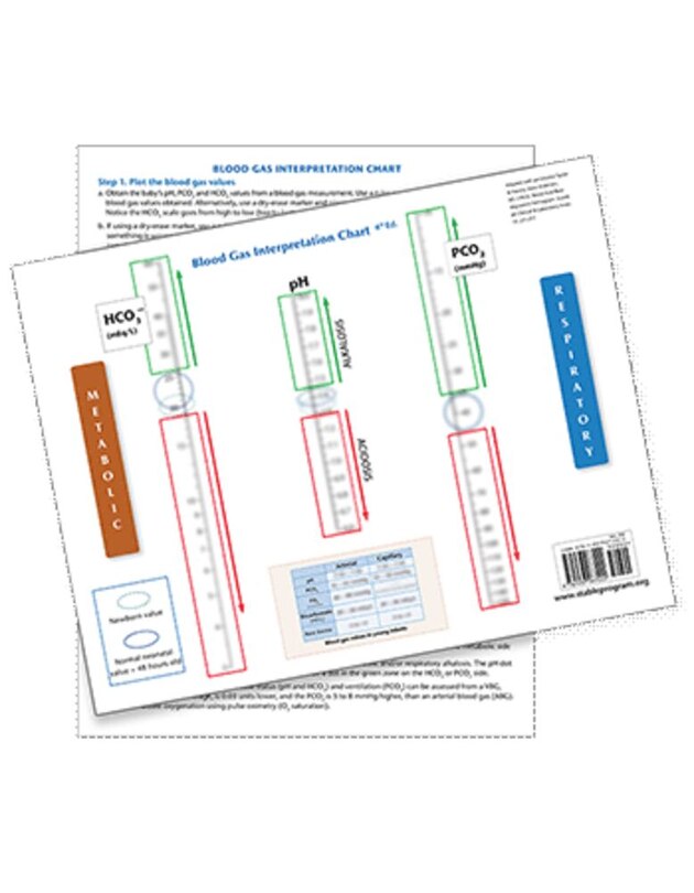 Couverture_The S.T.A.B.L.E. Program
