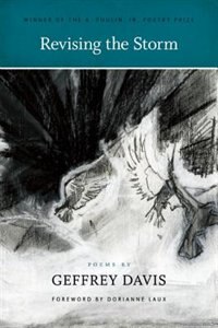 Front cover_Revising the Storm