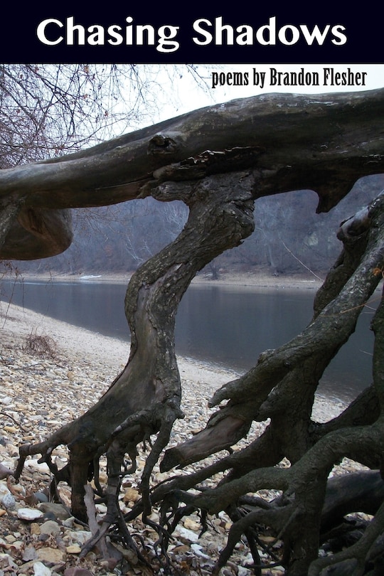 Front cover_Chasing Shadows